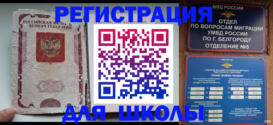 прописка гарантия в Ельне